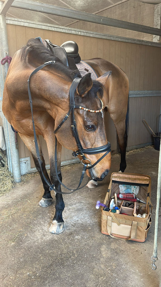 A bay horse tacked up in a stable next to an open 30L Barn Bags grooming tote filled with brushes.